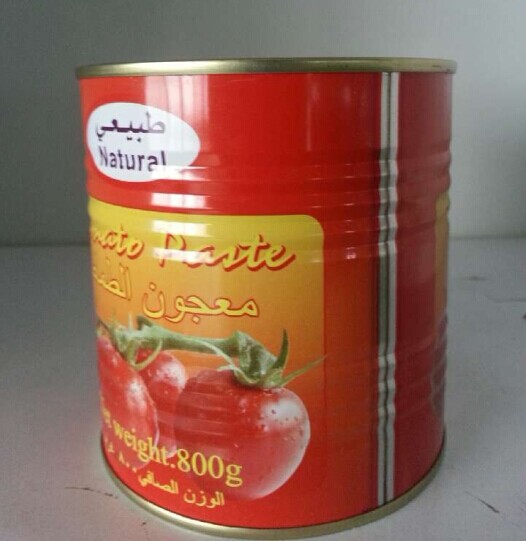 معجون طماطم 800 جرام × 12 - غطاء سهل الفتح - معجون طماطم
